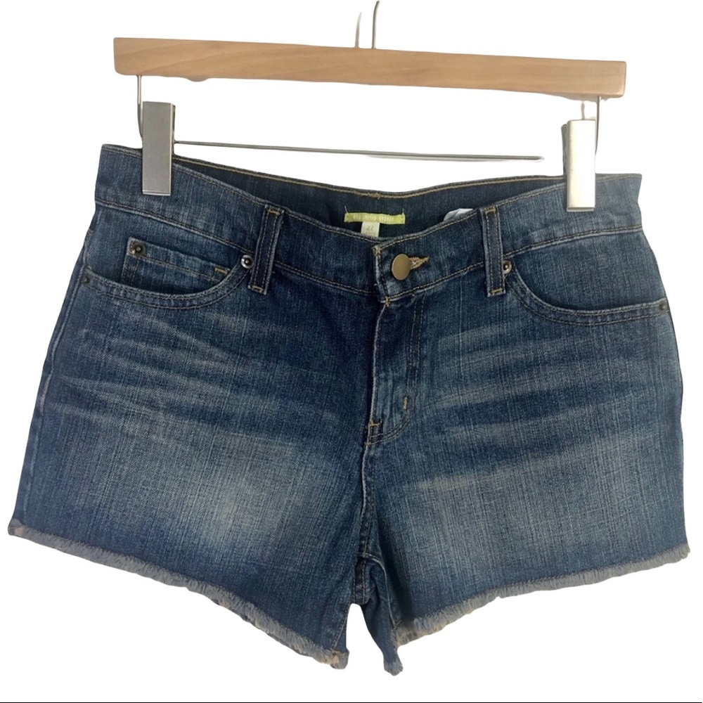 NWT Gianni Bini Shorts